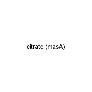 citrate (masA)